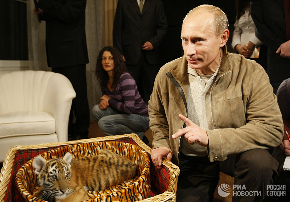 Владимир Путин познакомил журналистов с тигренком, которого ему подарили на день рождения 7 октября. 2008 год Владимир Путин познакомил журналистов с тигренком, которого ему подарили на день рождения 7 октября. 2008 год