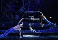 Театральное представление на церемонии открытия XIX Всемирного фестиваля молодежи и студентов в Ледовом дворце Большой в Сочи. 15 октября 2017 Театральное представление на церемонии открытия XIX Всемирного фестиваля молодежи и студентов в Ледовом дворце Большой в Сочи. 15 октября 2017