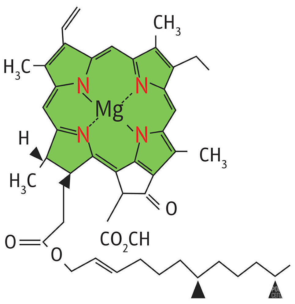 Особенности хлорофилла. Молекула хлорофилла формула. Строение молекулы хлорофилла. Хлорофилл структурная формула. Формула хлорофилла структура.
