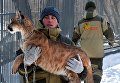 Канадская пума по кличке Пумка на руках у сотрудника Приморского сафари-парка во Владивостоке Канадская пума по кличке Пумка на руках у сотрудника Приморского сафари-парка во Владивостоке