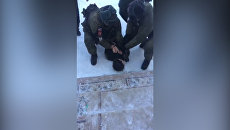 ЧП в Улан-Удэ: задержание напавшего с топором на школьников и педагога ЧП в Улан-Удэ: задержание напавшего с топором на школьников и педагога