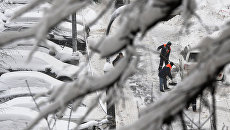 Сотрудники коммунальных служб убирают снег на дороге в Москве Сотрудники коммунальных служб убирают снег на дороге в Москве