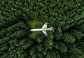 Снимок Самолет в лесу (Plane in the Forest) фотографа Mark Calayag, взявший приз в категории Popular Prize Снимок Самолет в лесу (Plane in the Forest) фотографа Mark Calayag, взявший приз в категории Popular Prize