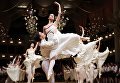 Танцоры во время репетиции перед Венским балом Танцоры во время репетиции перед Венским балом