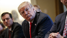 Президент Дональд Трамп. Архивное фото Президент Дональд Трамп. Архивное фото
