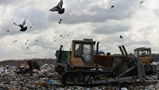 Бульдозер на полигоне твердых бытовых отходов. архивное фото Бульдозер на полигоне твердых бытовых отходов. архивное фото