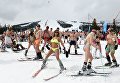 Участники массового горнолыжного спуска в купальных костюмах Grelka fest на кузбасском горнолыжном курорте в посёлке Шерегеш Кемеровской области Участники массового горнолыжного спуска в купальных костюмах Grelka fest на кузбасском горнолыжном курорте в посёлке Шерегеш Кемеровской области