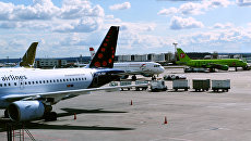 Самолеты авиакомпаний Brussels airlines, Austrian airlines и S7 в аэропорту Домодедово Самолеты авиакомпаний Brussels airlines, Austrian airlines и S7 в аэропорту Домодедово