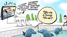 Приплыли Приплыли