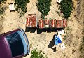 Во время сбора урожая клубники в Краснодарском крае Во время сбора урожая клубники в Краснодарском крае