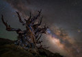 Работа фотографа Jez Hughes Guarding the galaxy, вошедшая в шорт-лист Insight Astronomy Photographer of the Year 2018 Работа фотографа Jez Hughes Guarding the galaxy, вошедшая в шорт-лист Insight Astronomy Photographer of the Year 2018