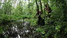Специалисты Экспедиционного центра Минобороны России на месте падения самолета, предположительно Як-9 из авиаполка Нормандия - Неман, в Ельнинском районе Смоленской области Специалисты Экспедиционного центра Минобороны России на месте падения самолета, предположительно Як-9 из авиаполка Нормандия - Неман, в Ельнинском районе Смоленской области