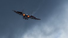 Истребитель МиГ-29. Архивное фото Истребитель МиГ-29. Архивное фото