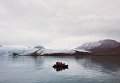 Фронт ледника Норденшельда. Лодка направилась к белому медведю на берегу Фронт ледника Норденшельда. Лодка направилась к белому медведю на берегу