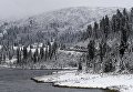 Снег в районе Буйбинского перевала в Красноярской крае Снег в районе Буйбинского перевала в Красноярской крае
