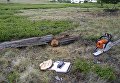 Взятие образцов лиственницы сибирской для определения возраста, Тува Взятие образцов лиственницы сибирской для определения возраста, Тува