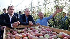 Рабочая поездка президента РФ В. Путина и премьер-министра РФ Д. Медведева в Ставропольский край Рабочая поездка президента РФ В. Путина и премьер-министра РФ Д. Медведева в Ставропольский край