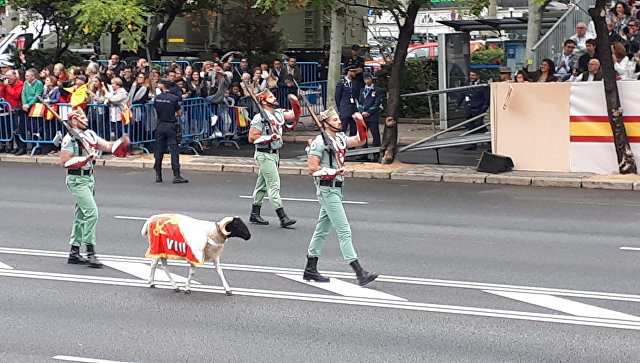 испанидад день испанской нации. день испанидад, праздник святой девы пилар. национальный праздник испании 12 октября. национальный праздник испании 12 октября. детский парад в испании.