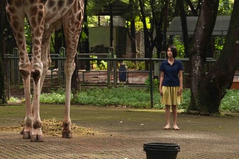 Кадр из фильма Открытки из зоопарка (Kebun binatang / Postcards From The Zoo) Кадр из фильма Открытки из зоопарка (Kebun binatang / Postcards From The Zoo)