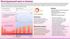 Менструальный цикл и питание Менструальный цикл и питание