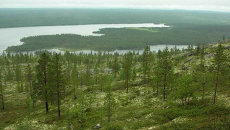 Заповедник Пасвик Заповедник Пасвик
