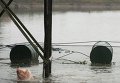 Китайский фермер научил своих свиней прыгать с вышки Китайский фермер научил своих свиней прыгать с вышки