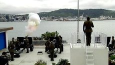 Салют из пушек и поздравления: как мир встретил рождение британского принца Салют из пушек и поздравления: как мир встретил рождение британского принца