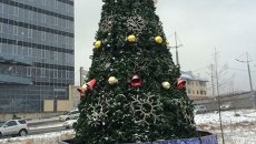Первая новогодняя елка Владивостока украсила дорогу к Золотому мосту, архивное фото Первая новогодняя елка Владивостока украсила дорогу к Золотому мосту, архивное фото