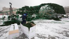 Во Владивостоке упала главная новогодняя елка. Фото с места события Во Владивостоке упала главная новогодняя елка. Фото с места события